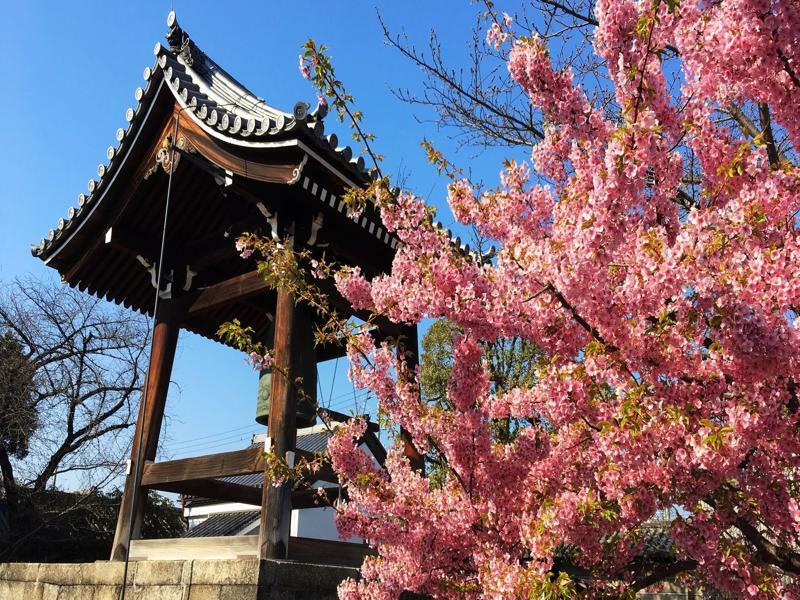 Stay Sakura Kyoto Toji West I المظهر الخارجي الصورة