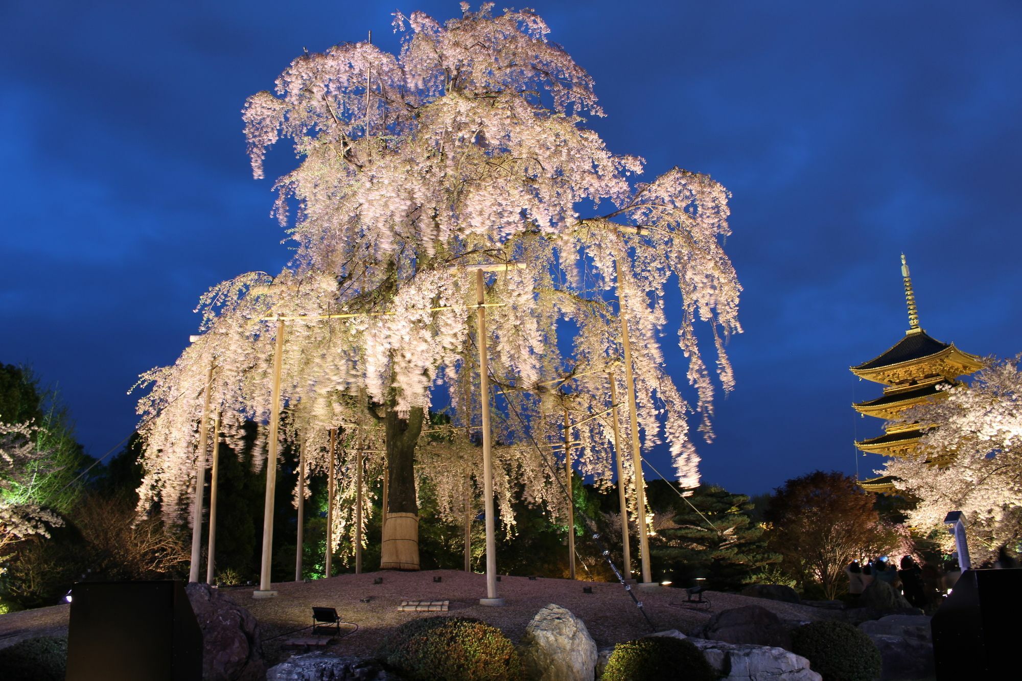 Stay Sakura Kyoto Toji West I المظهر الخارجي الصورة