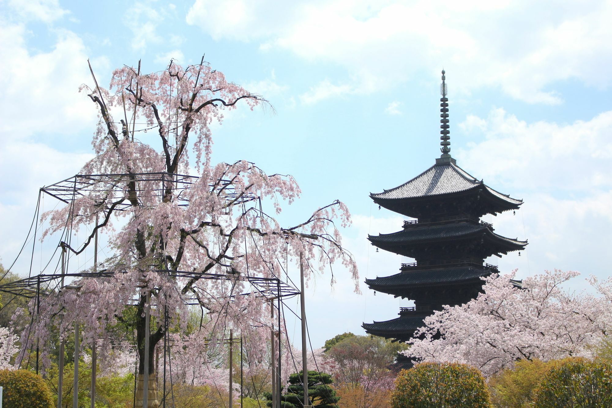 Stay Sakura Kyoto Toji West I المظهر الخارجي الصورة