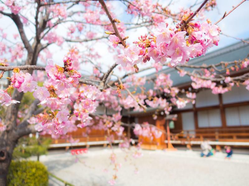 Stay Sakura Kyoto Toji West I المظهر الخارجي الصورة