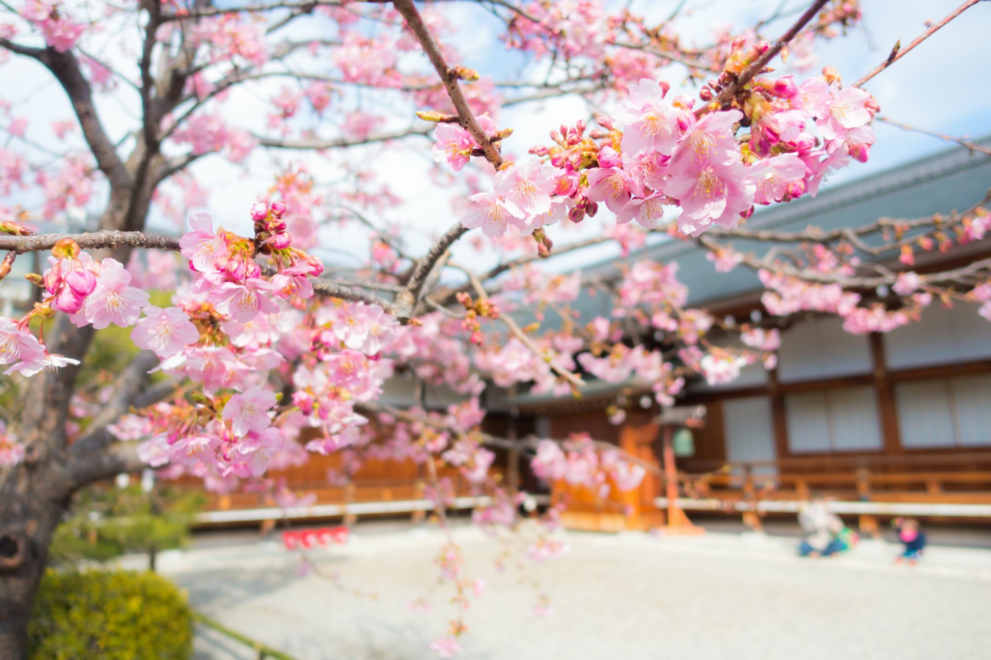 Stay Sakura Kyoto Toji West I المظهر الخارجي الصورة